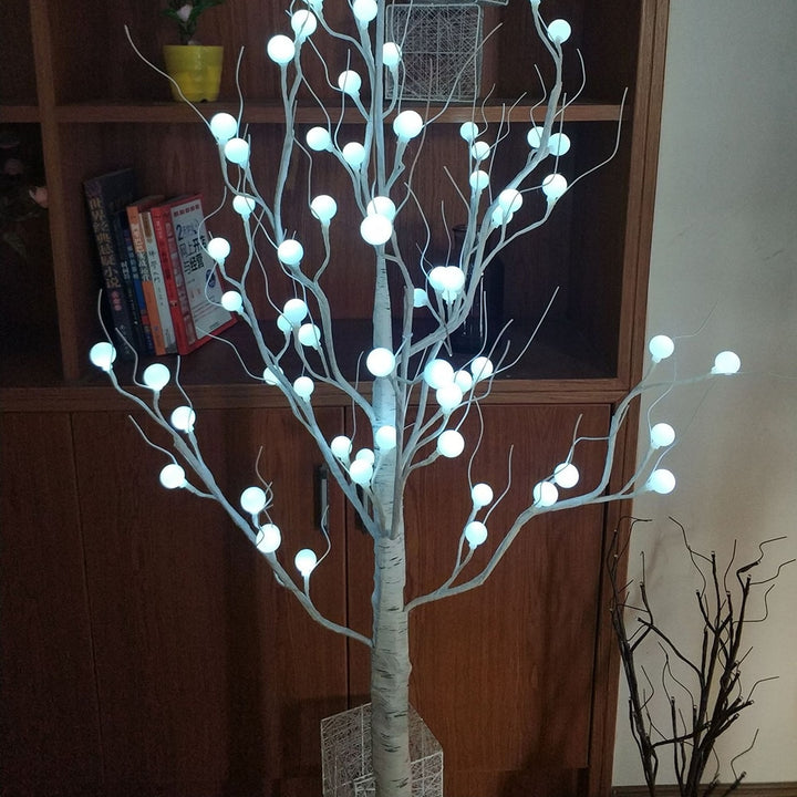 Zweige Baum Licht
